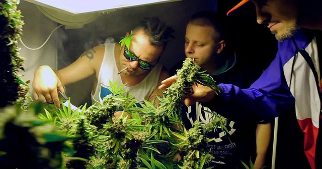 Hemp Gru - Klucz Hemp Gru - Klucz